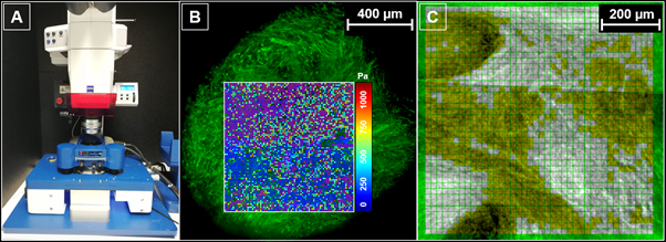 AFM setup