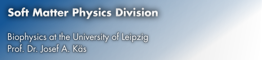 Soft Matter Physics Division - Biophysics at the University of Leipzig