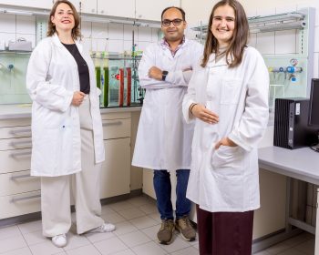 Drei Wissenschaftler:innen der Replacer-Projektes im Labor