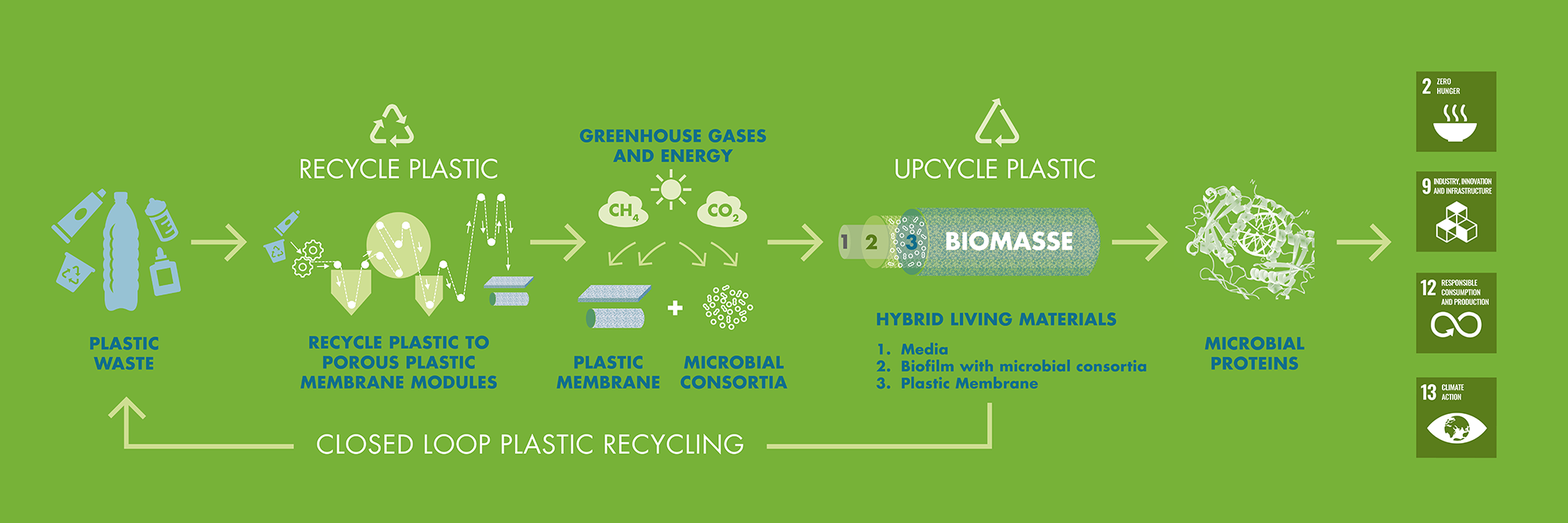 Recycling von Kunststoffen und Entwicklung hybrider lebender Materialien